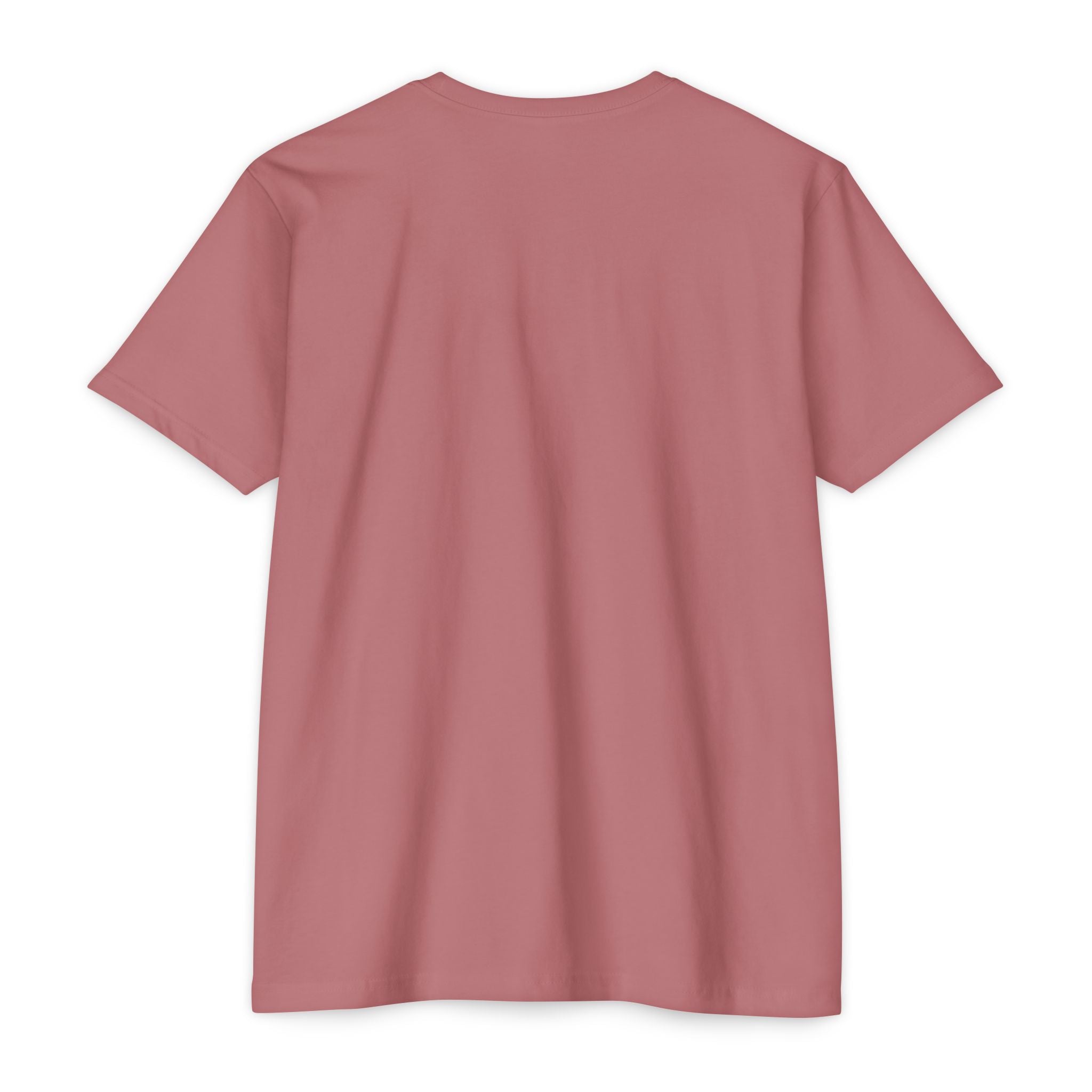 I'm One Minor Inconvenience Away From Going Home T-Shirt