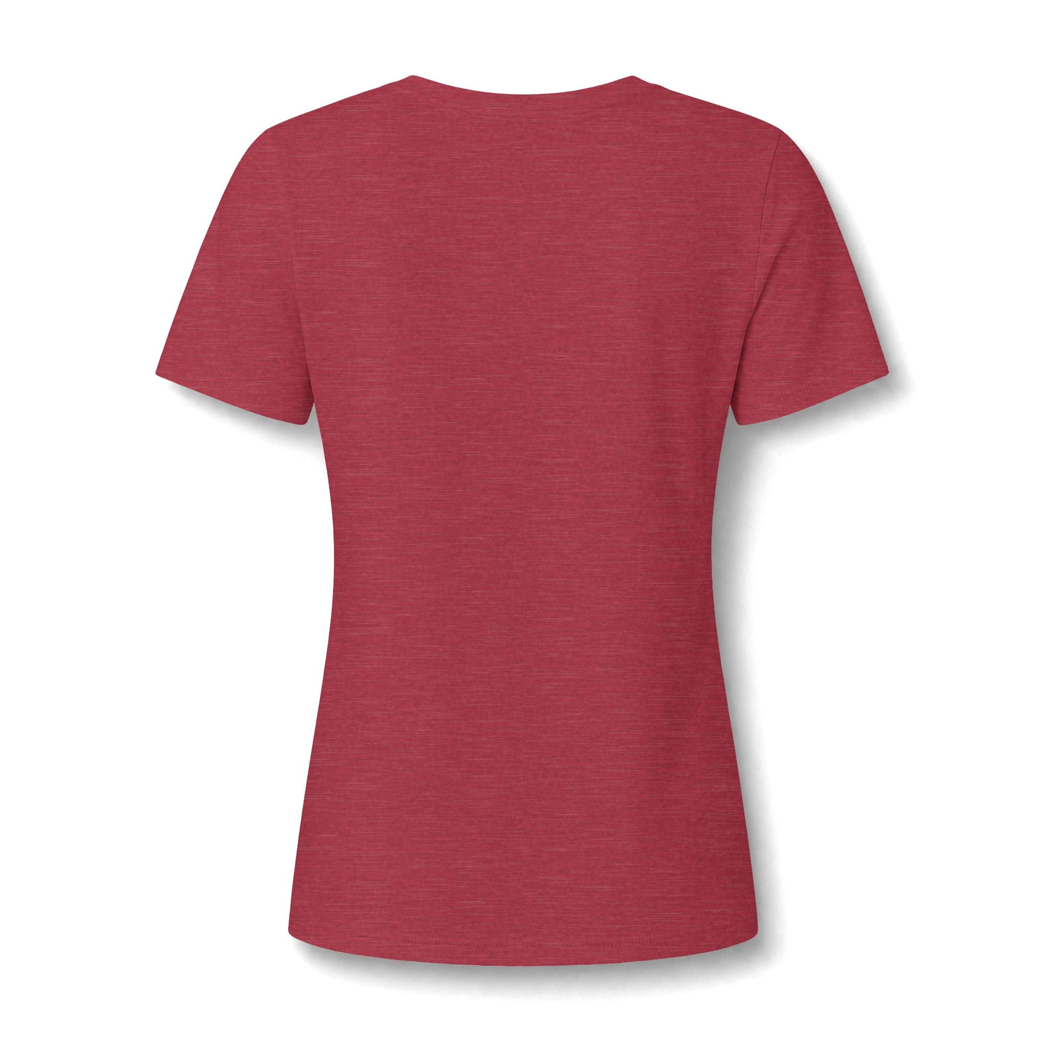 Women's Taxi Driver V-Neck Tee — 'Professional Taxi Driver' Graphic Shirt