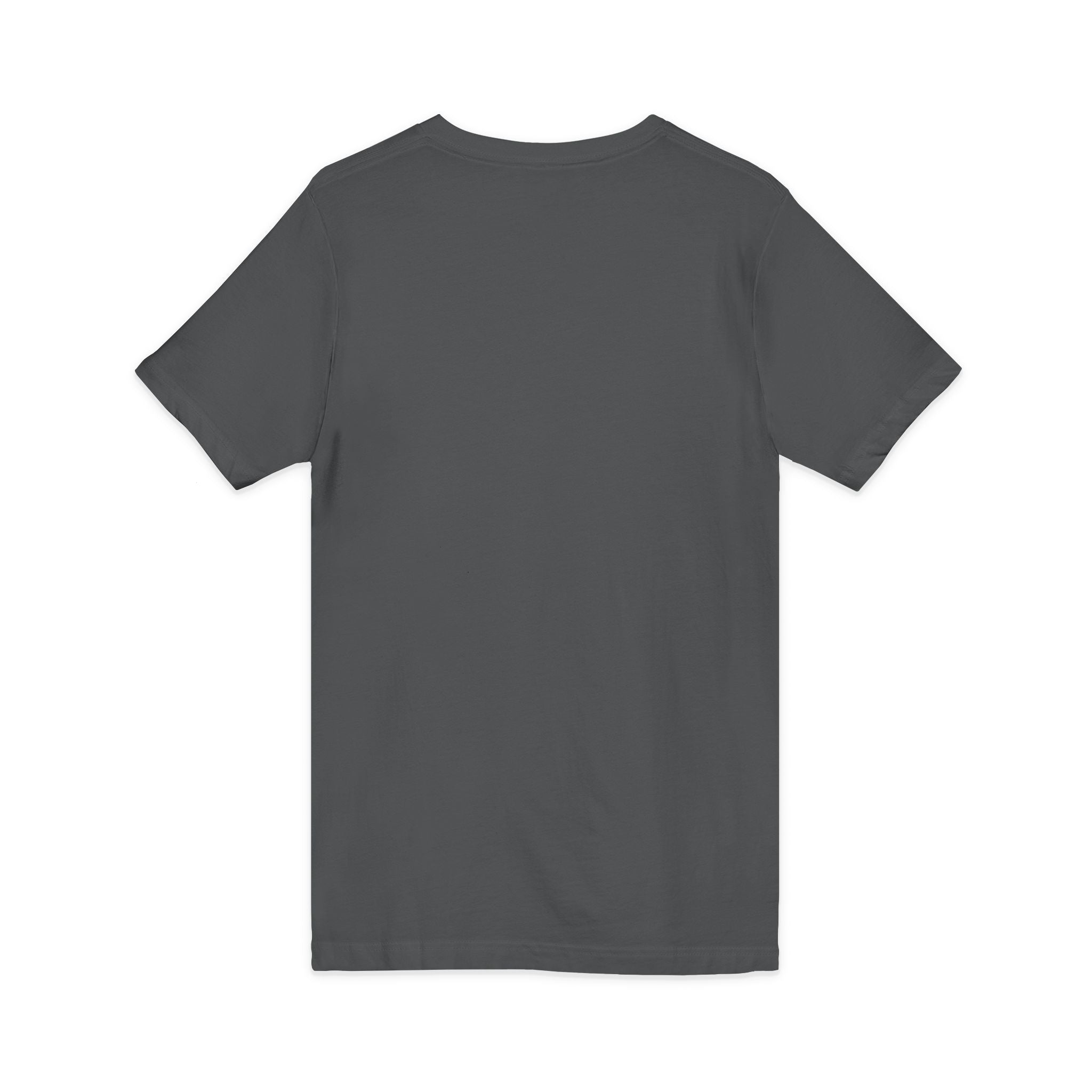 I Came I Saw I Sent A Cause Violation Tee - Funny Teacher Mom V-Neck Shirt